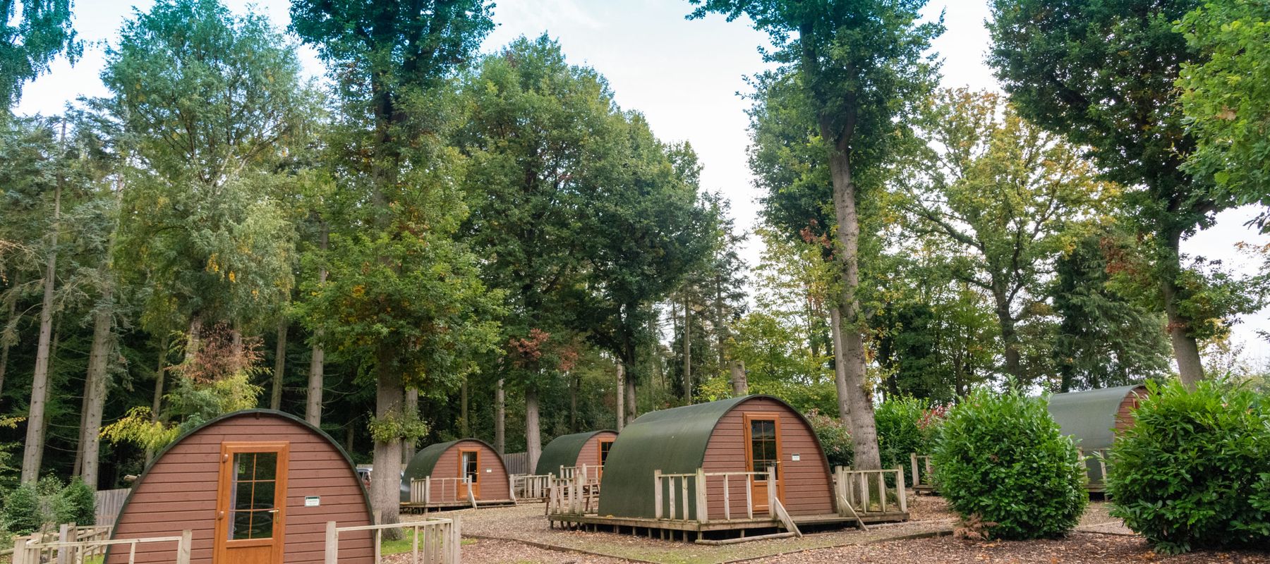 Glamping Pods at Oaker Wood