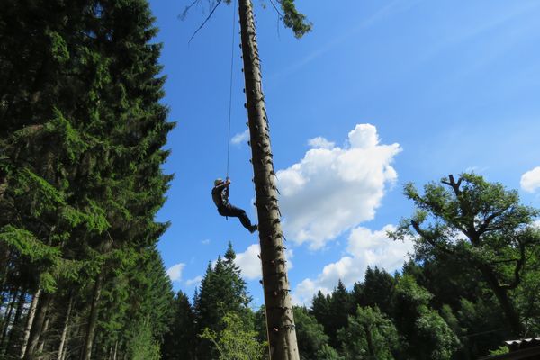 monkey climb1